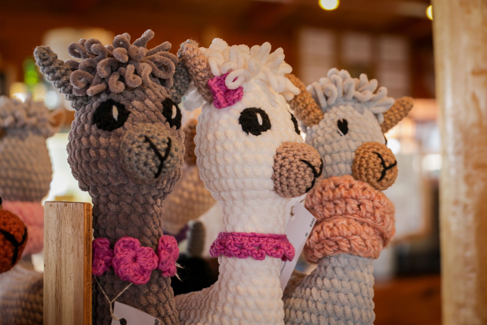 Alpaca crafts for beginners
