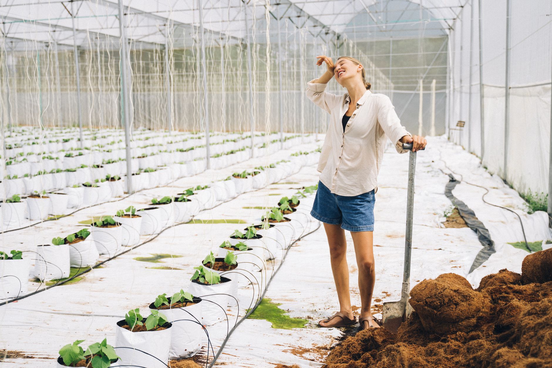 Aquaponic farming for beginners