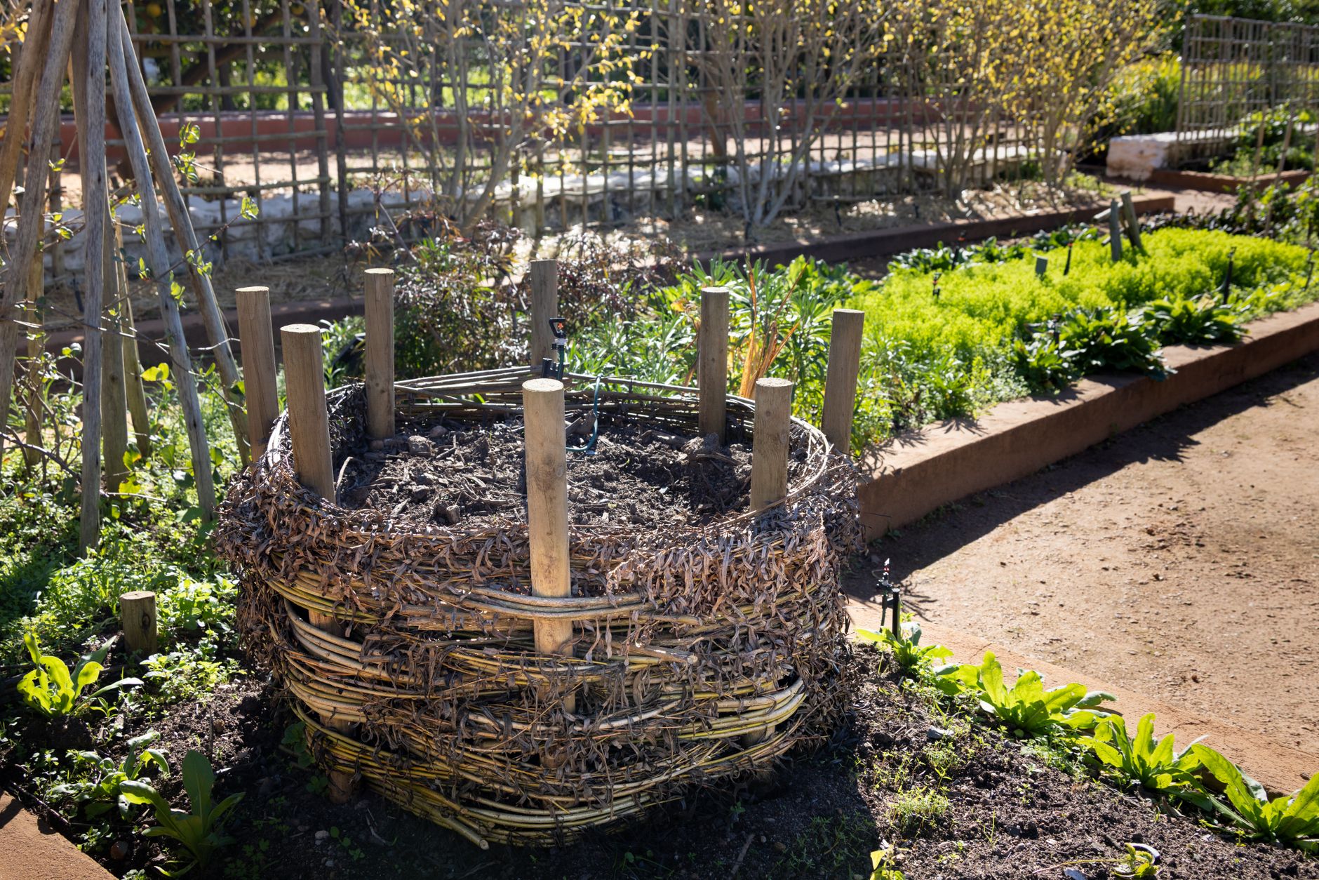 Backyard composting for beginners