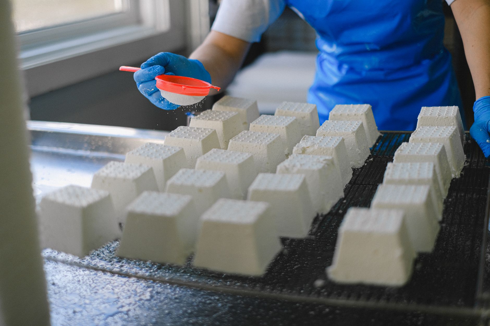 Basic cheese making for beginners