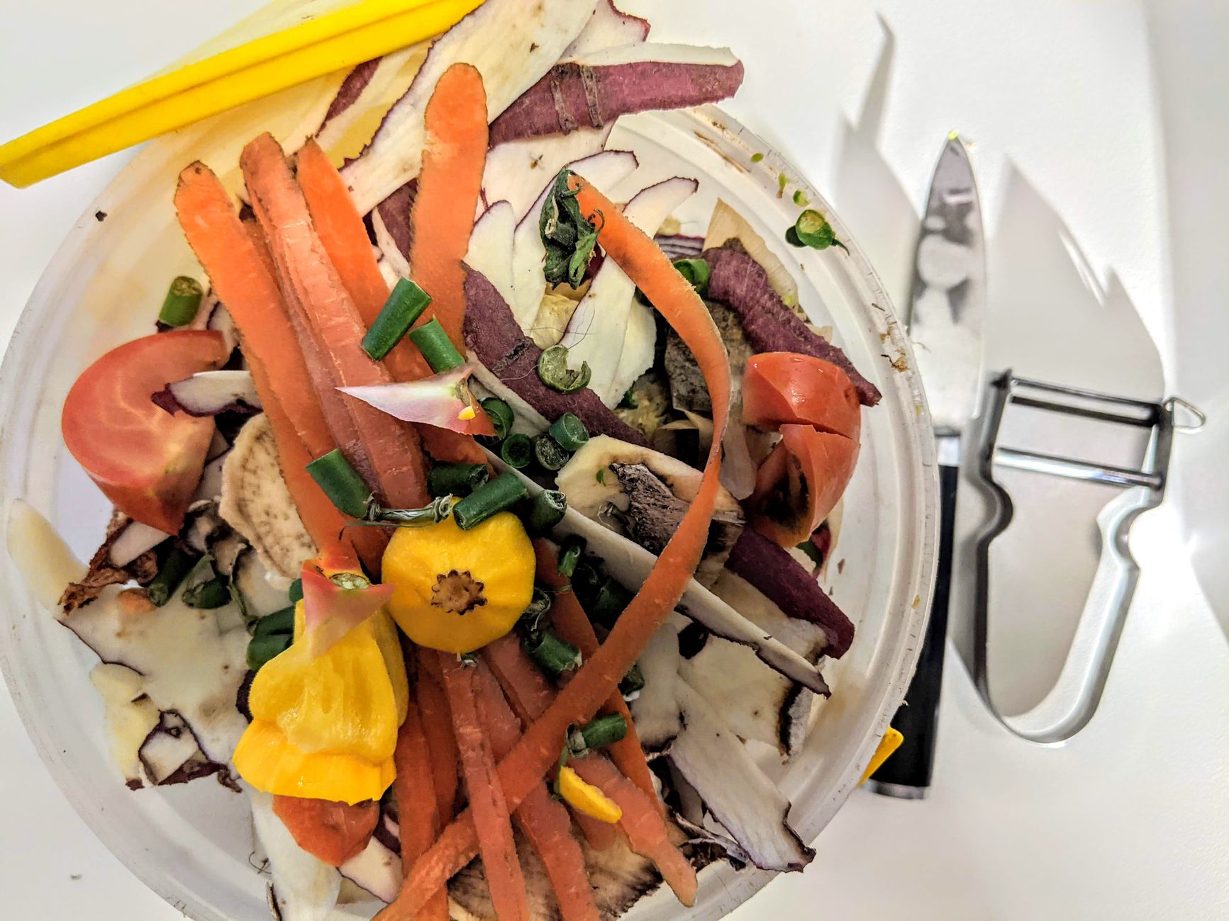 Best compost bin australia