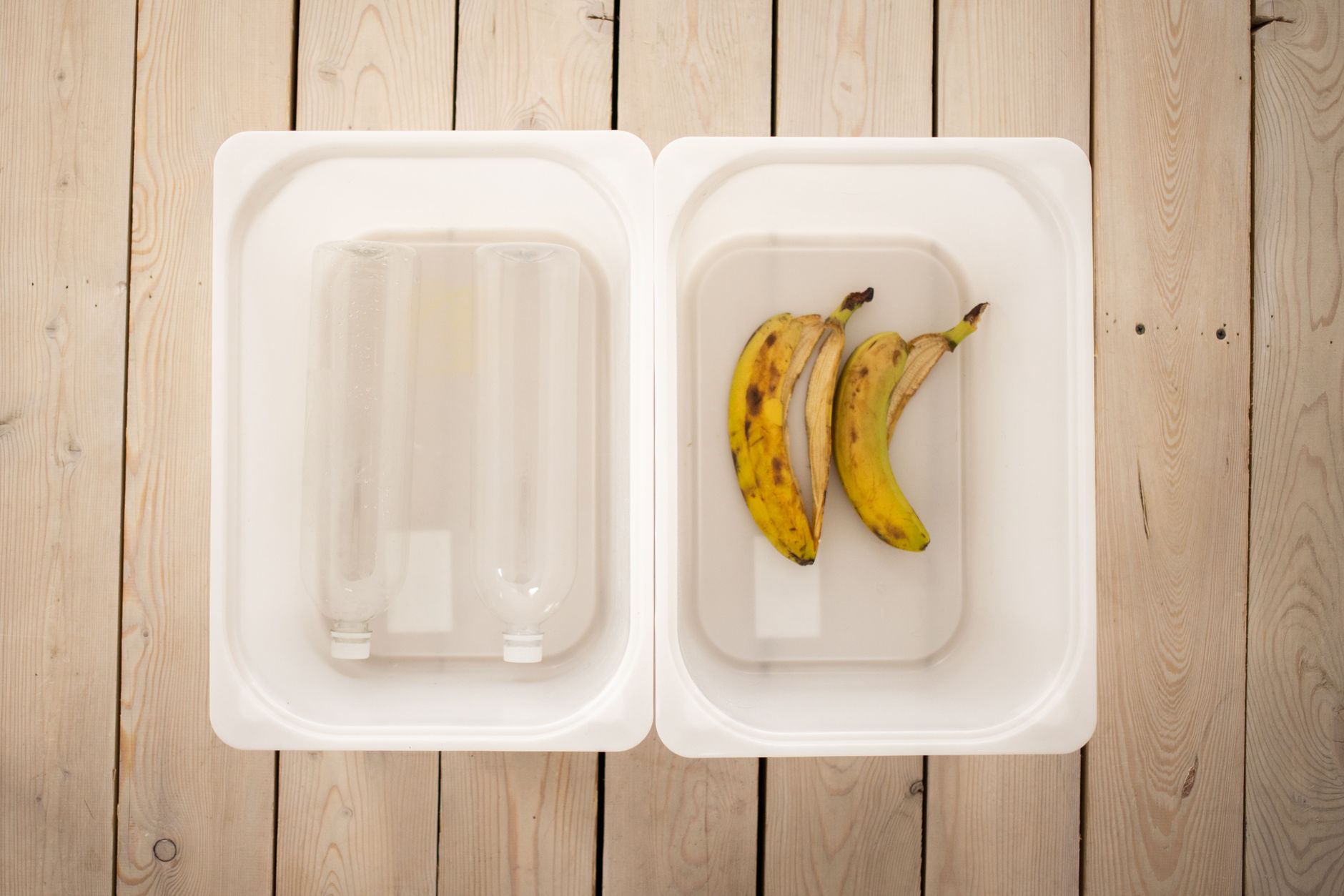 Best compost bins