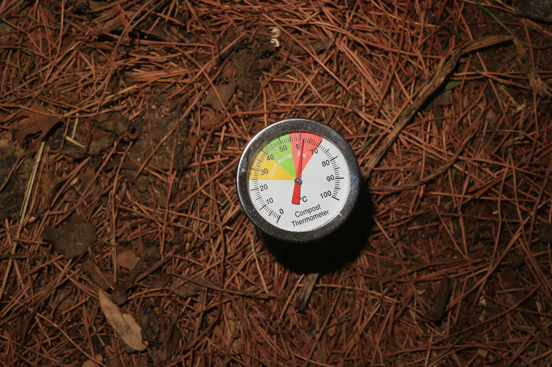 Best compost deals uk