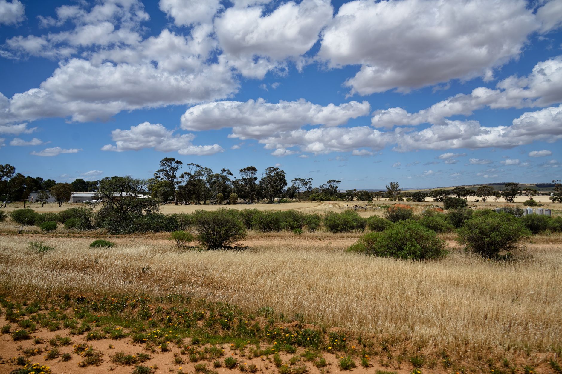 Expansive rural scene with vibrant green bushes, dried grass, and a blue sky filled with clouds.