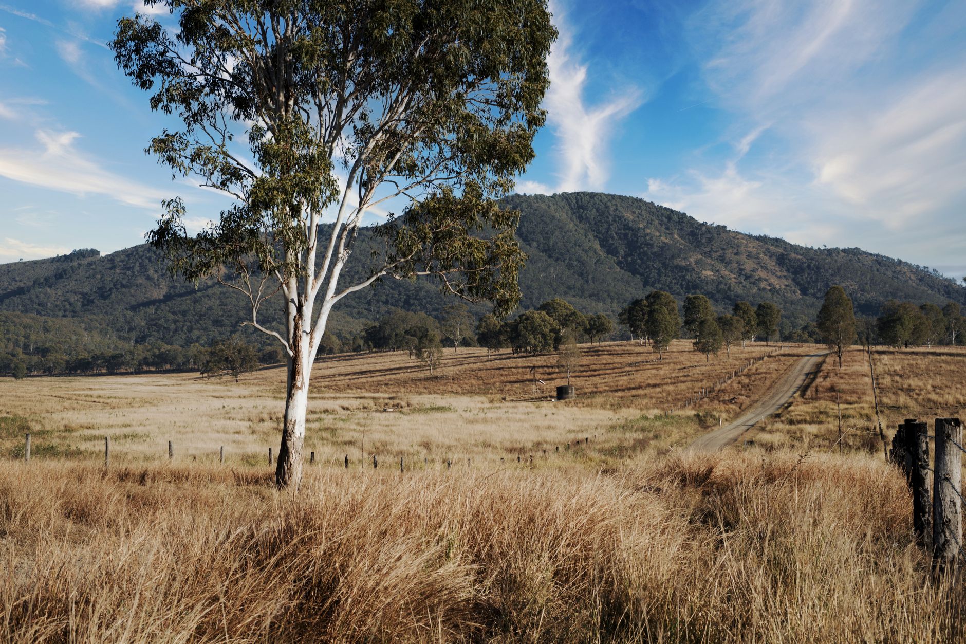 Best farm stays near brisbane