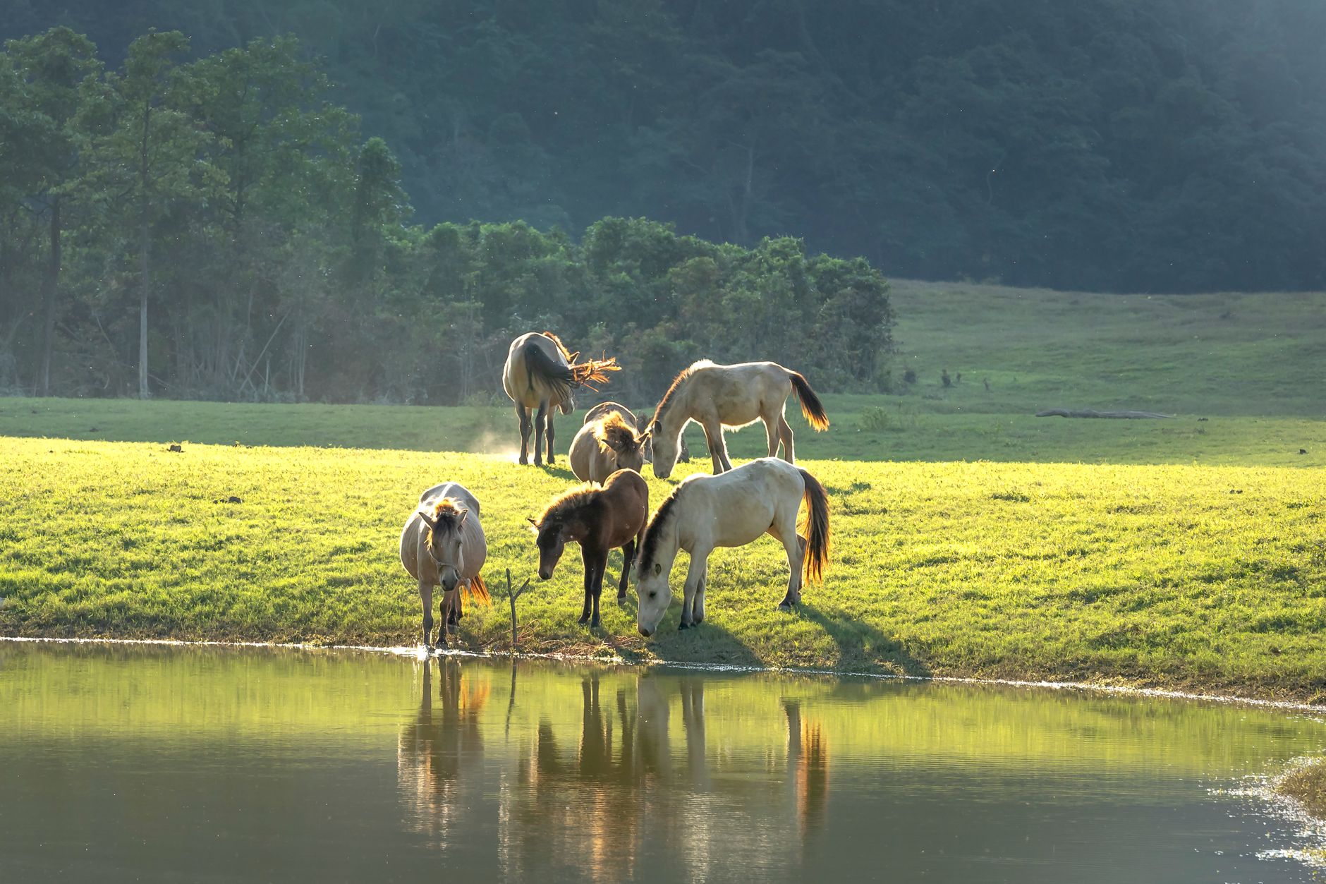 Best farm stays near sydney