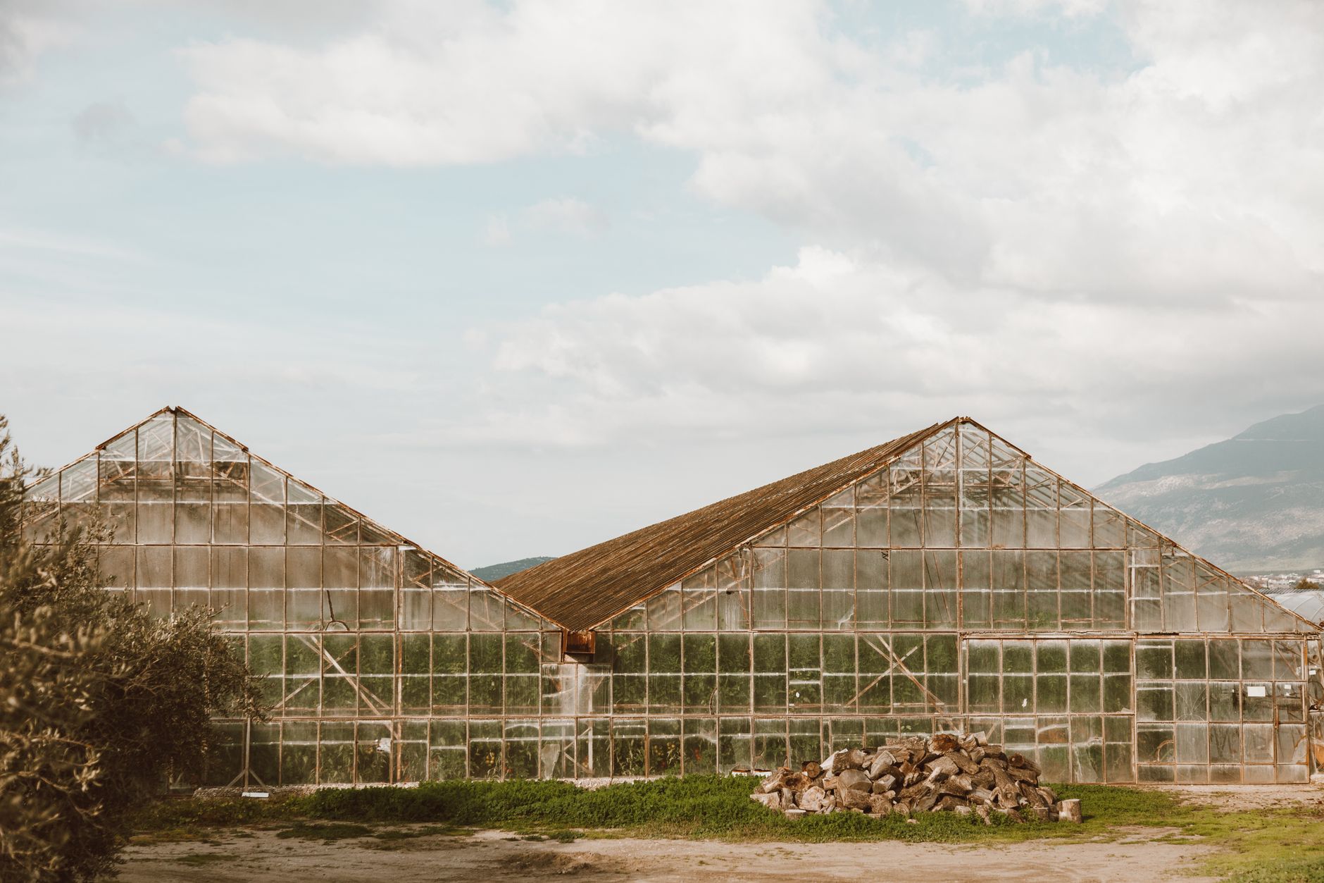 Best greenhouse for beginners