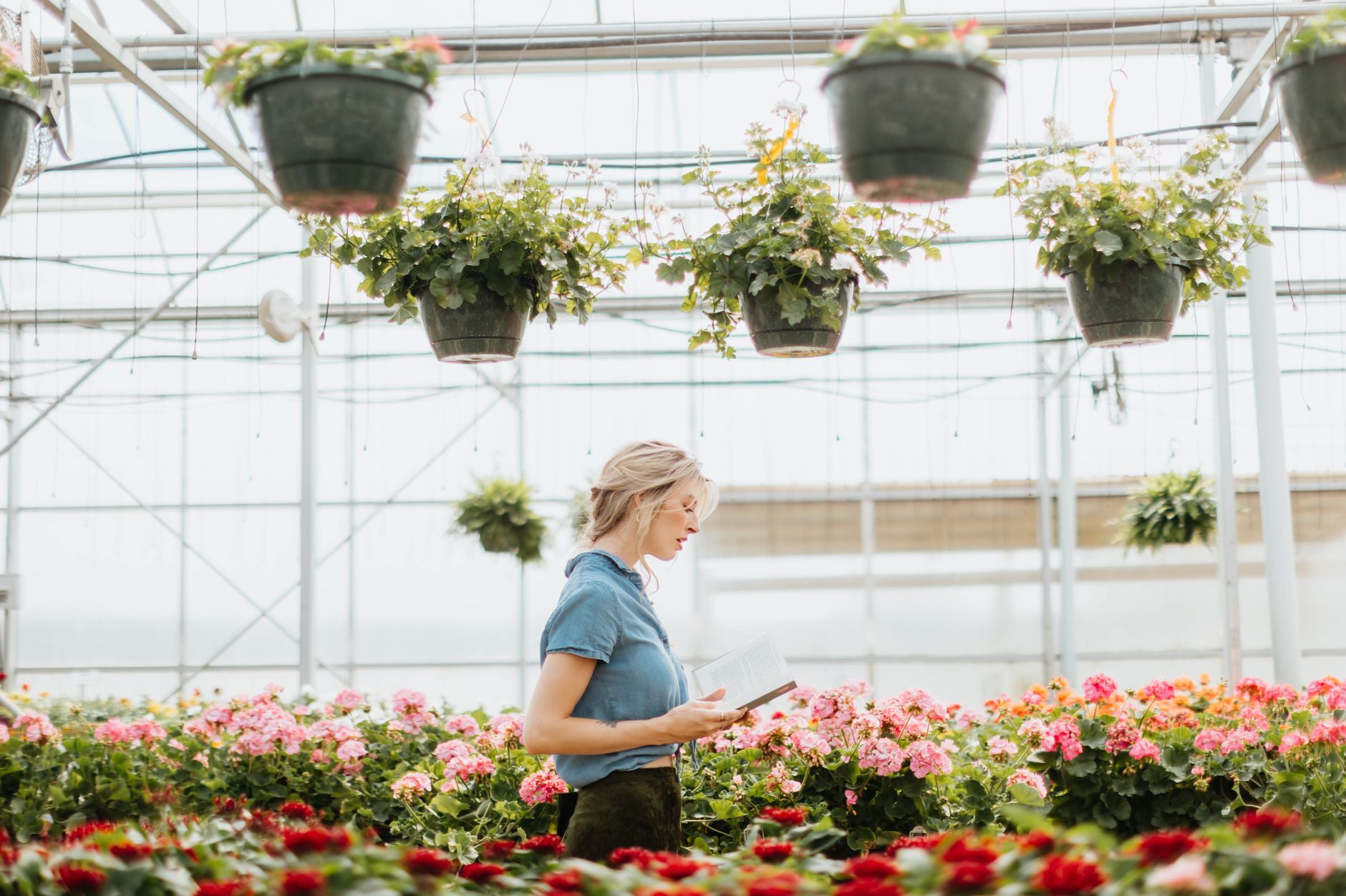 Blonde woman reading amidst vibrant flowers in a sunny greenhouse setting.