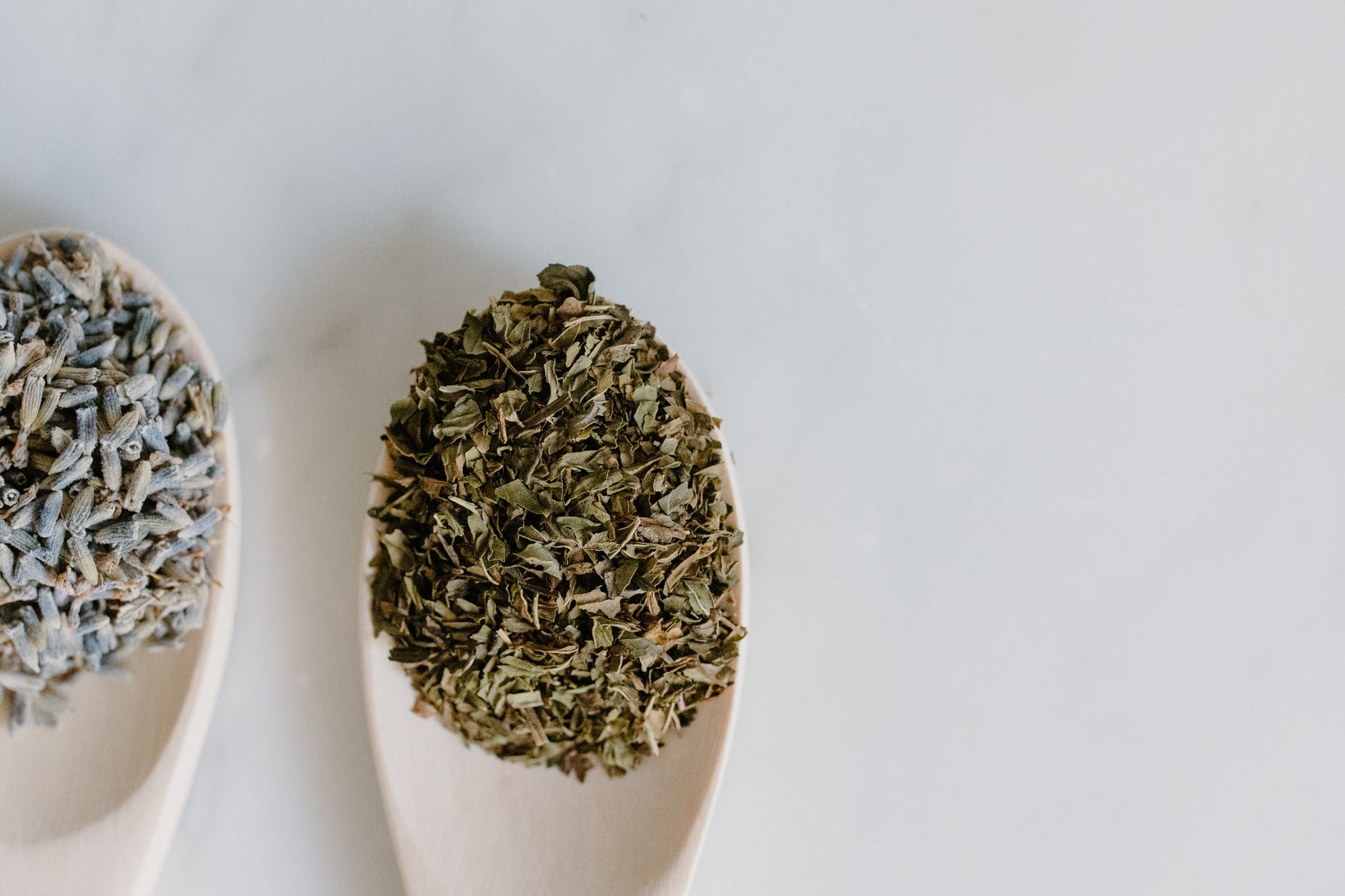 Best herbs for beginners