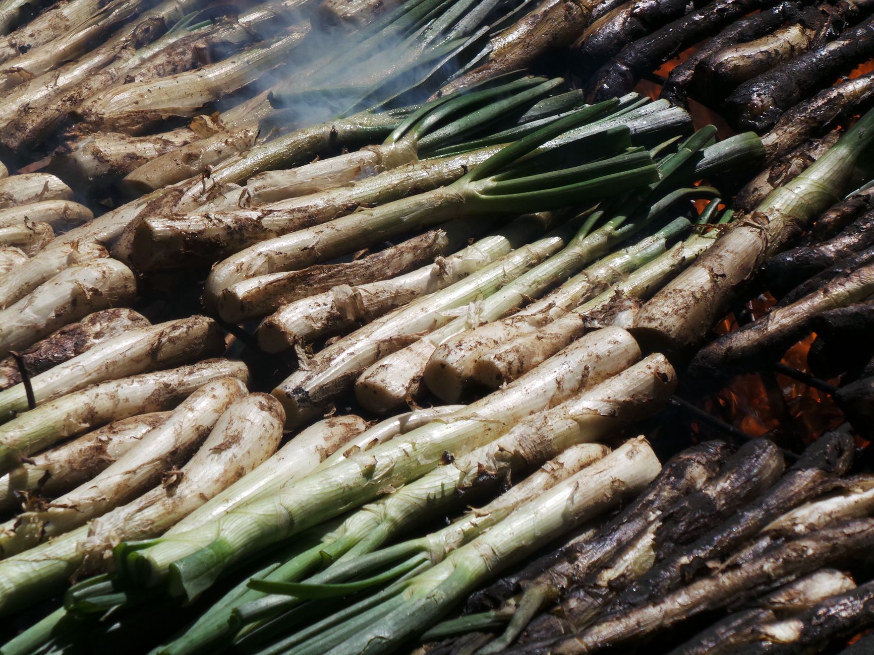 Close-up of fresh green onions being grilled outdoors, showcasing smoky flavors.