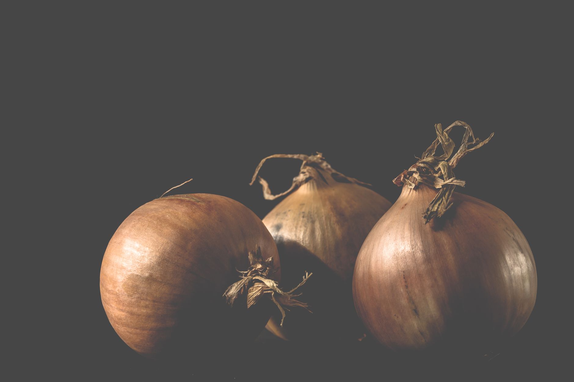 Best onions to grow in massachusetts