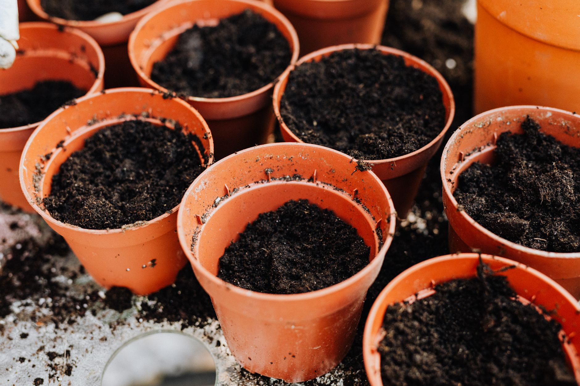 Best soil for container gardening