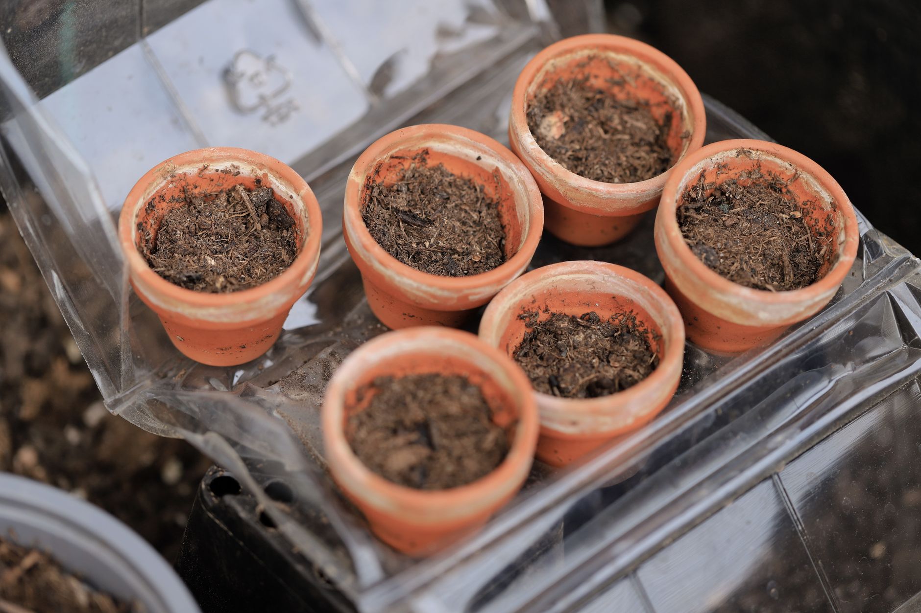 A set of small terracotta pots filled with soil, ideal for indoor or outdoor gardening enthusiasts.