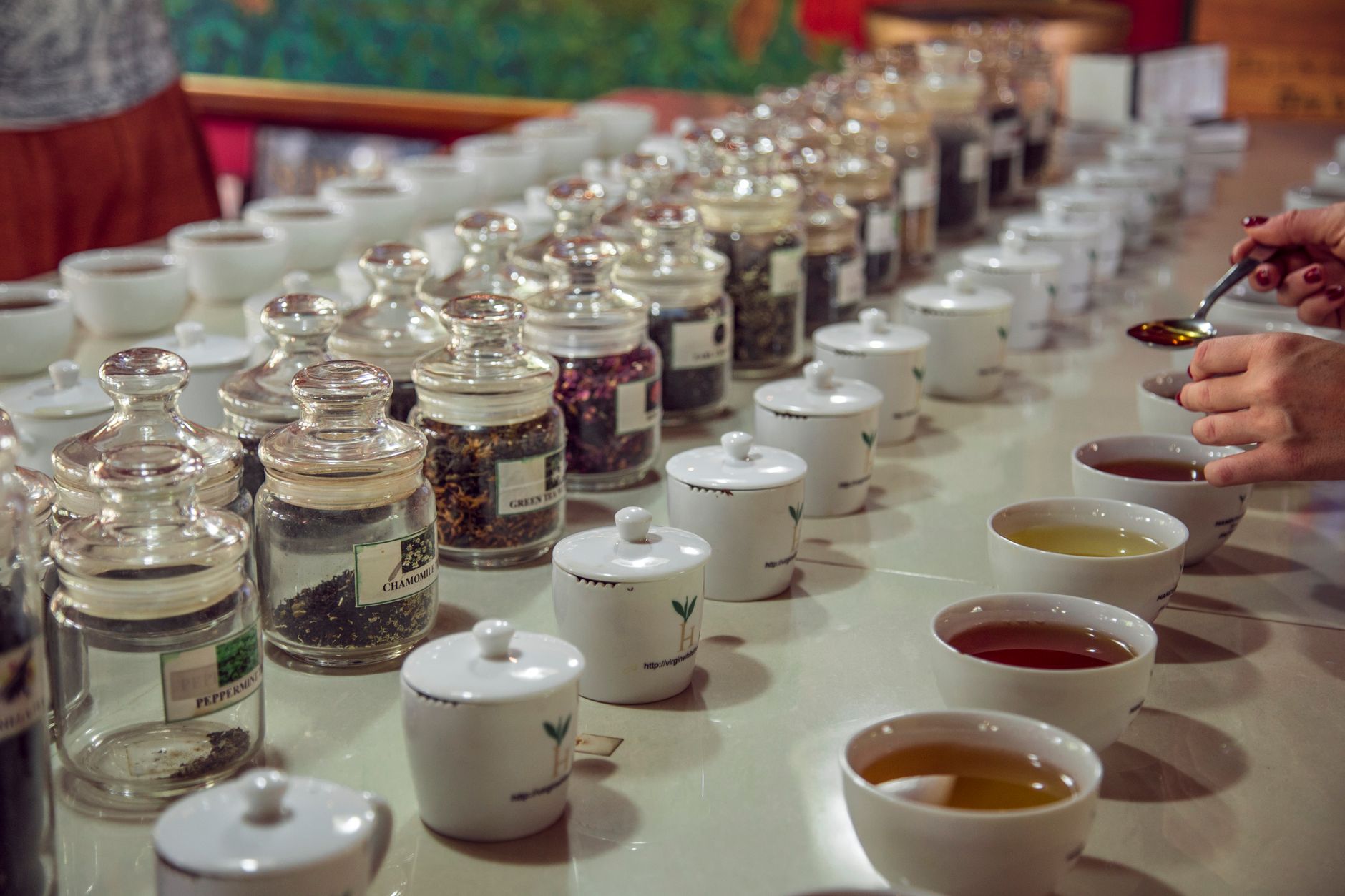 Best tasting tea for beginners