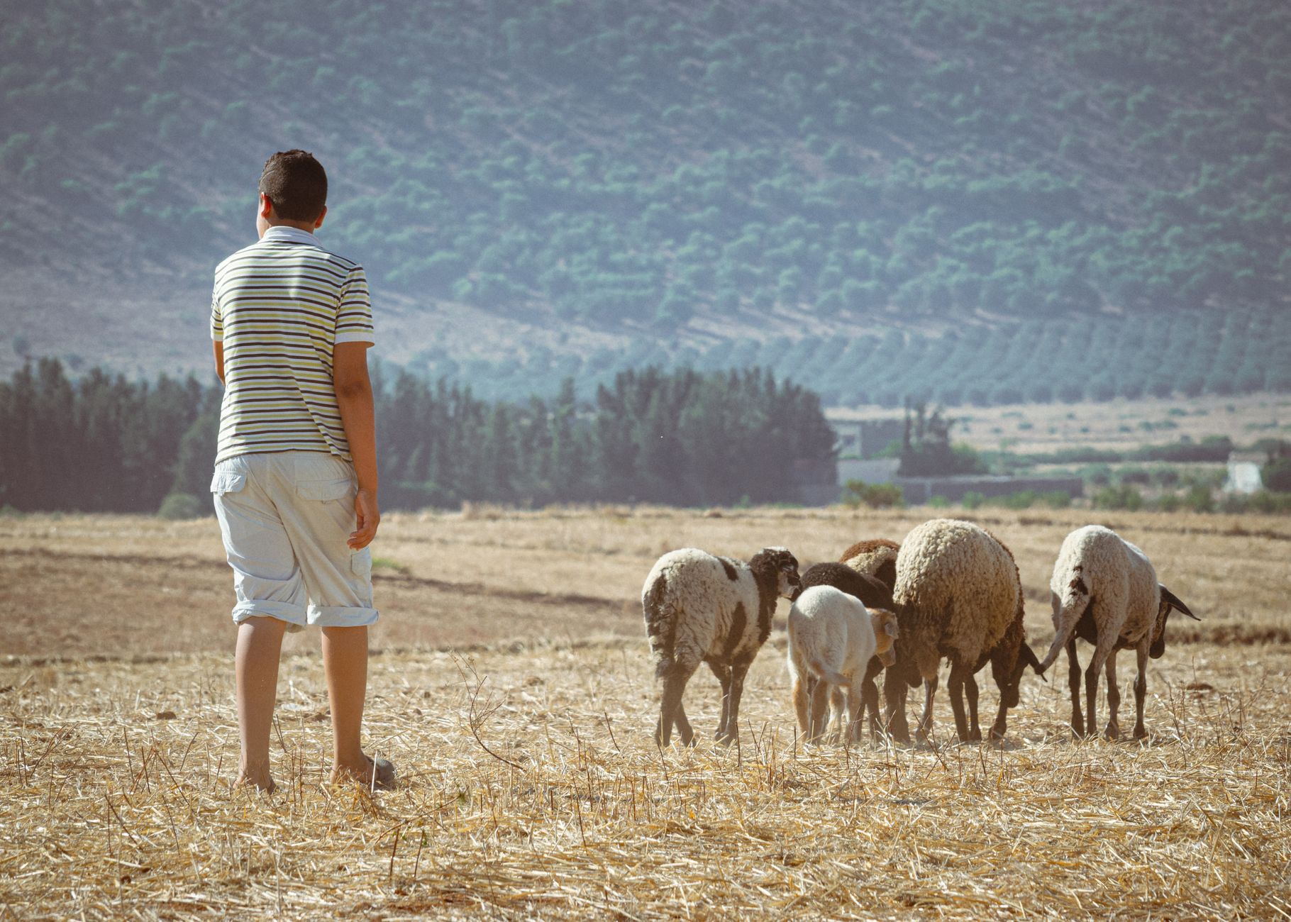Best tour guide for farm stays