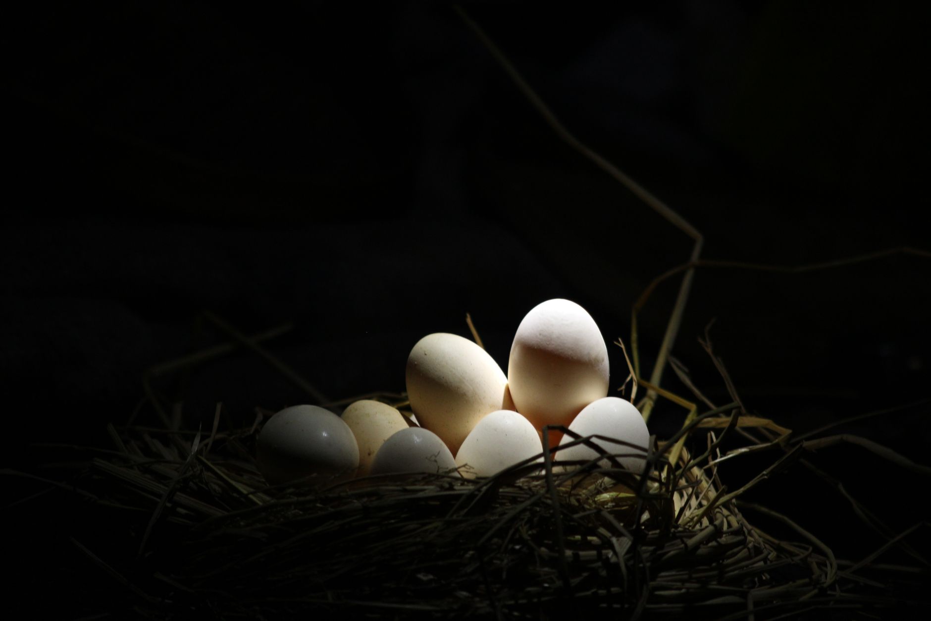 Best way to hatch eggs pokemon
