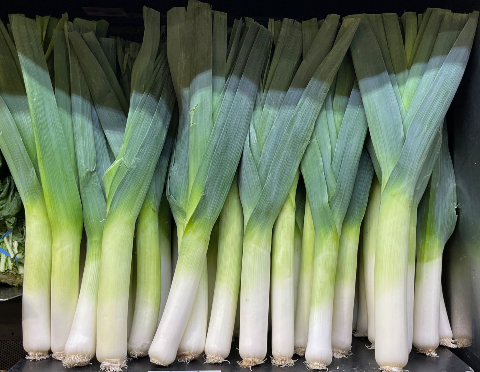 Best way to store leeks