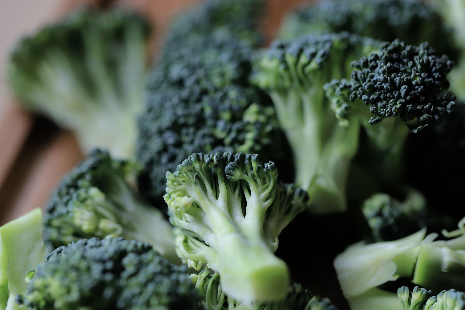 Broccoli guide for beginners