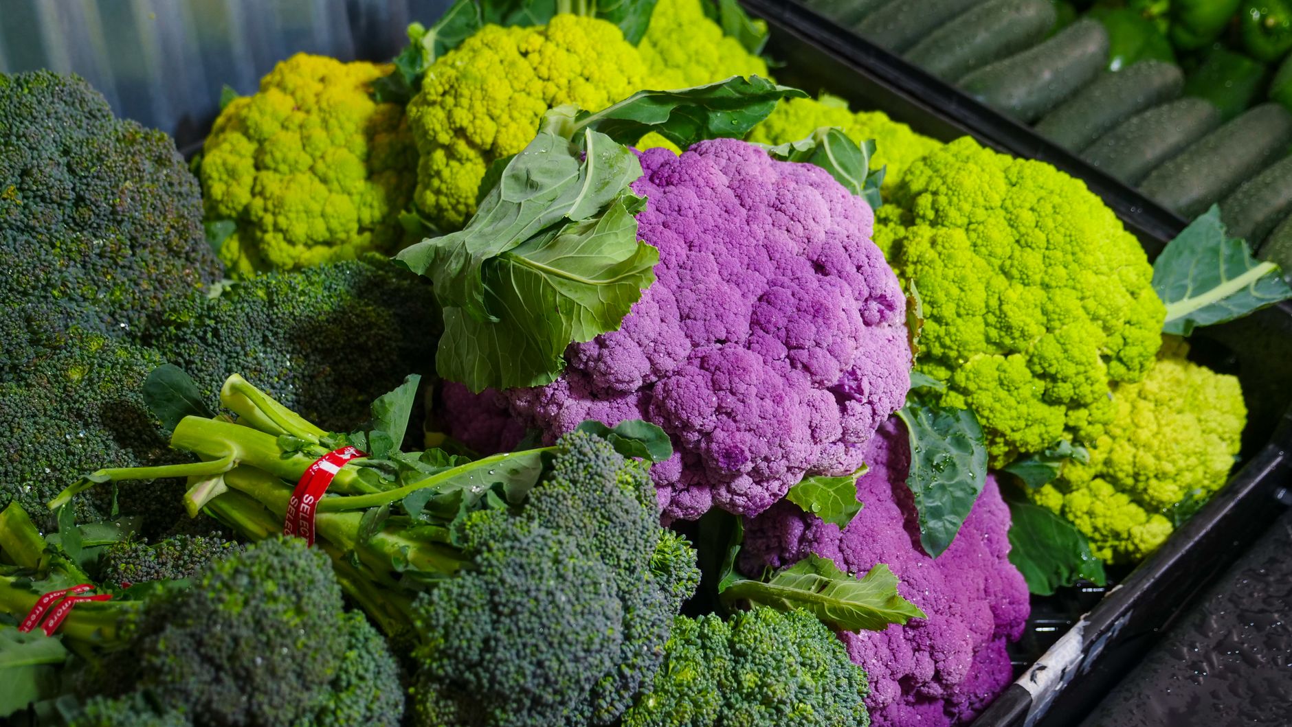 Broccoli vs cabbage