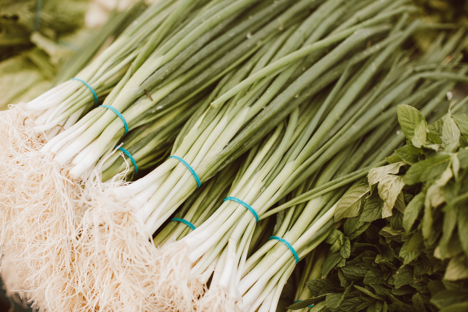 Green onions vs scallions