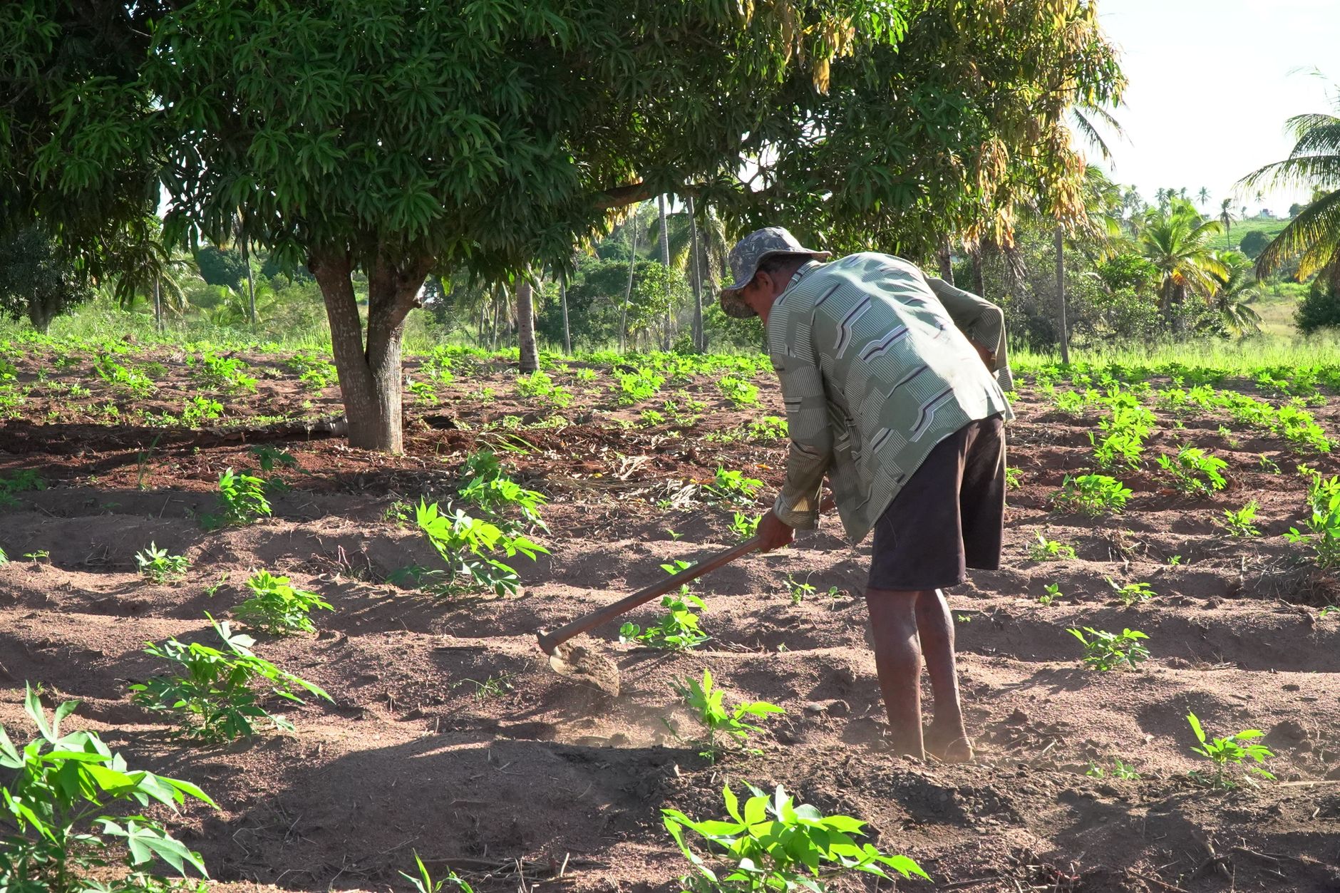 How long do farmers work