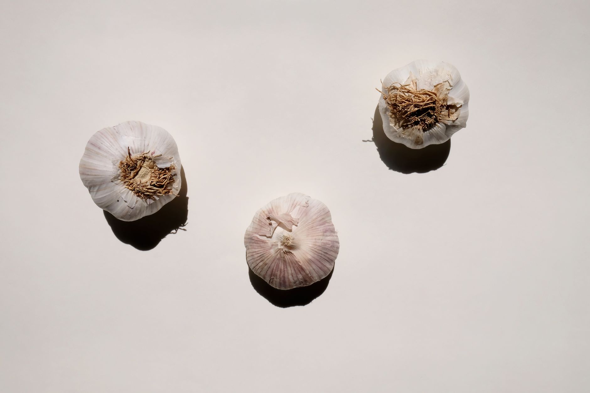How long does garlic take