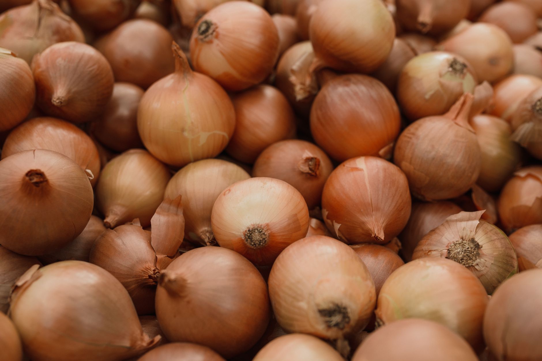 How long does onions last