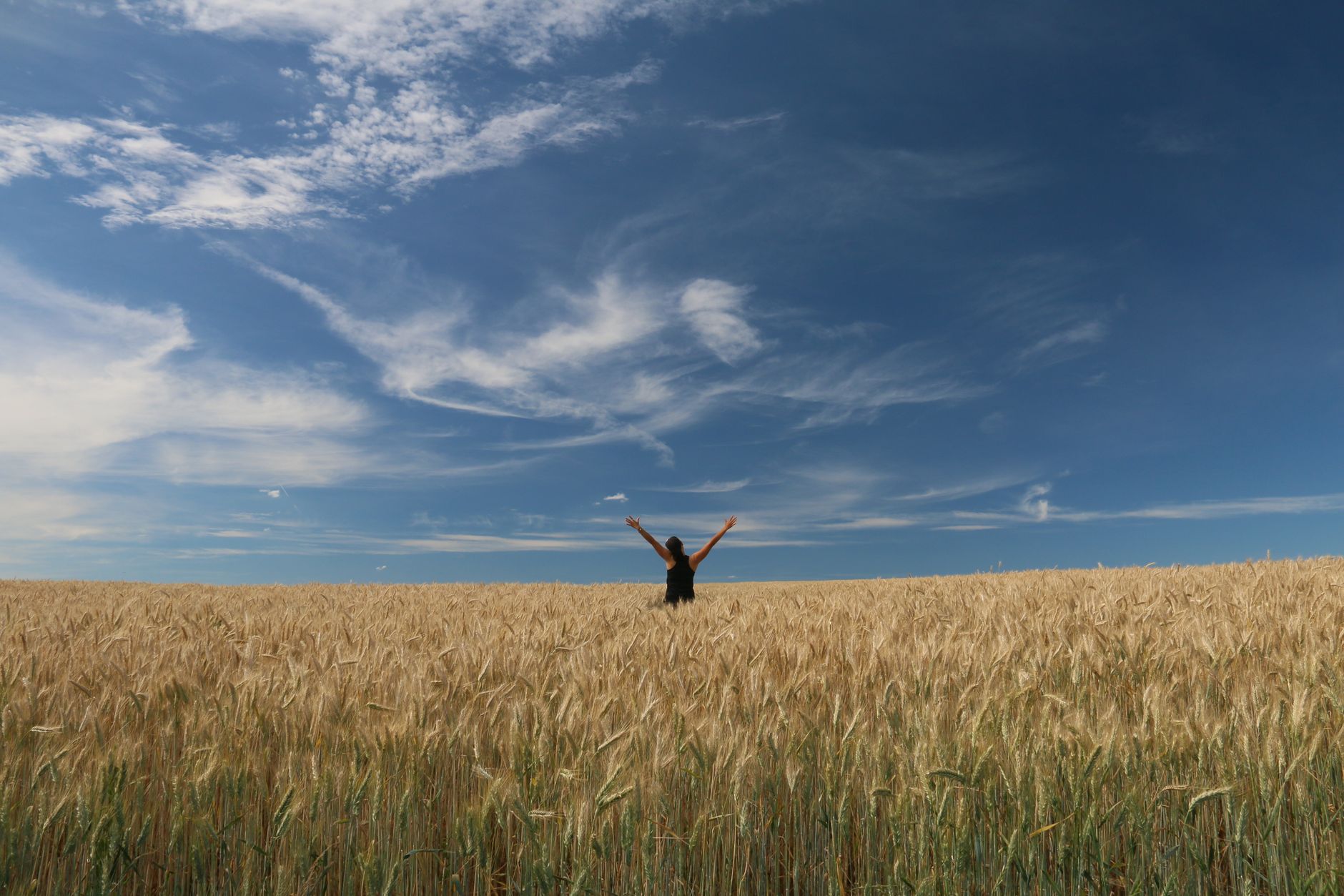 How many acres can one person farm