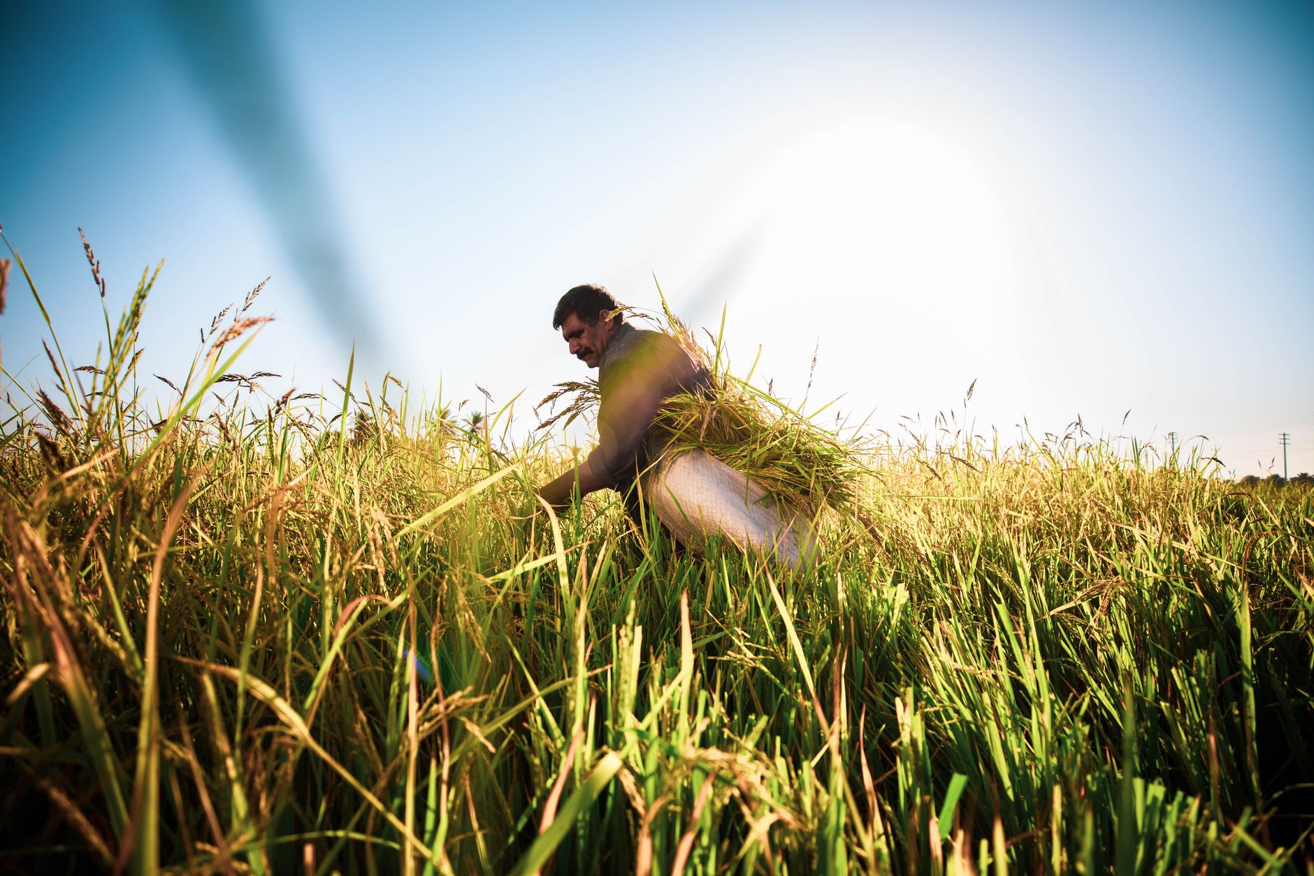 How much farmland to sustain one person