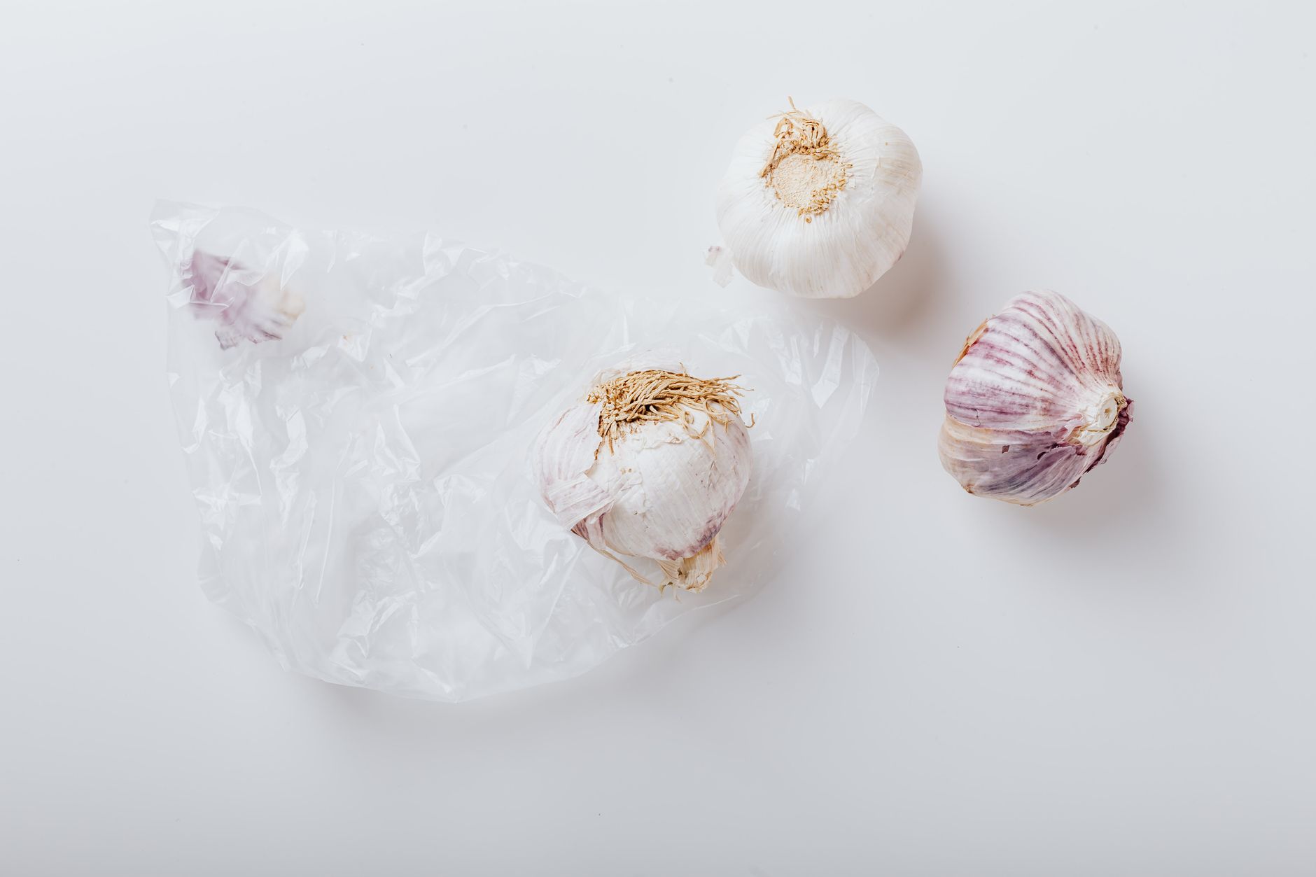 How to grow garlic
