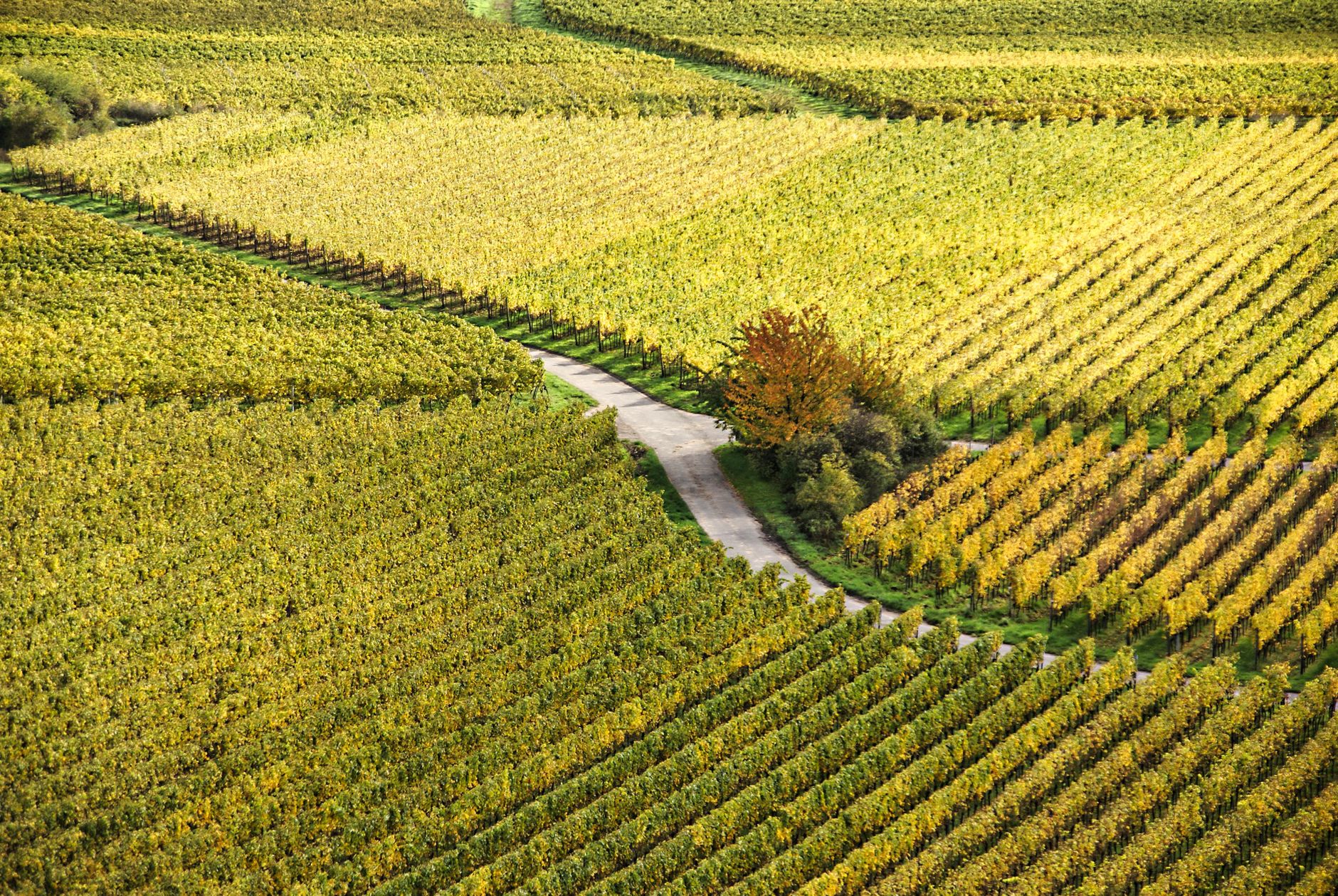What does agritourism mean