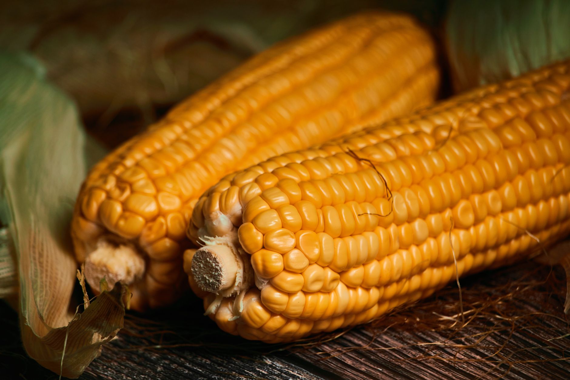 When to plant corn in zone 8